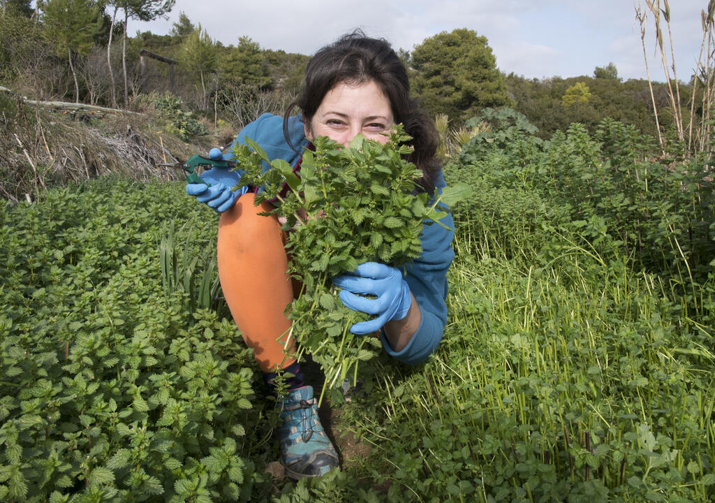 Eco Program In Greece Conscious Living Spiritual Community Coex Eco Program In Greece Conscious Living Spiritual Community Coex
