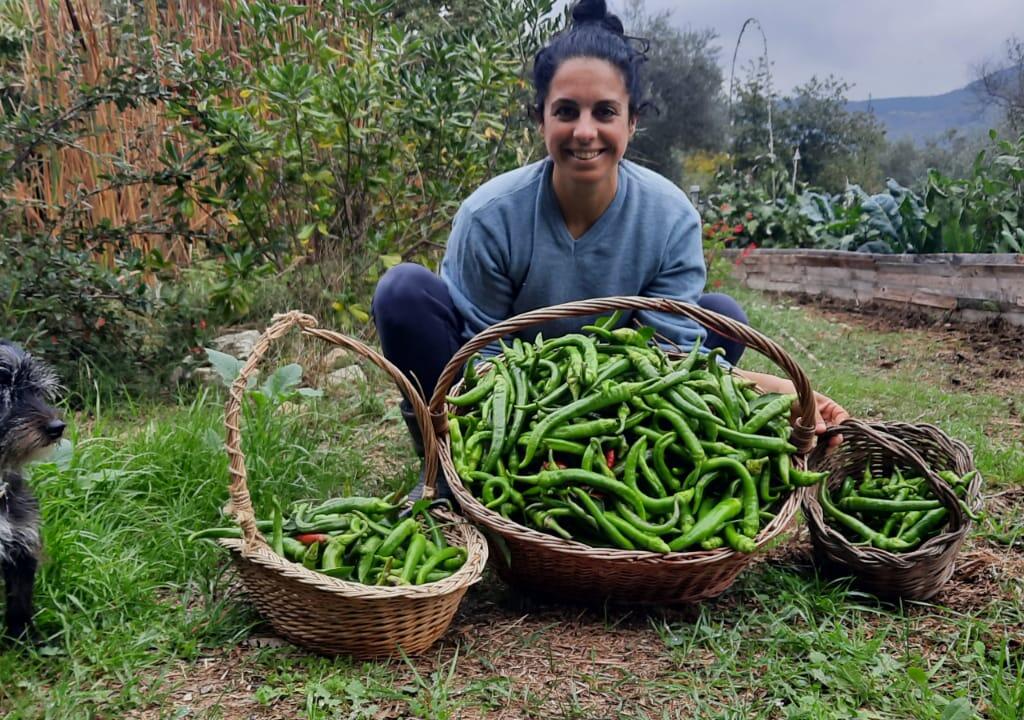 Proyectos Ecológicos Italia: Kitchen Focalizer: Cook, Learn and Ex...