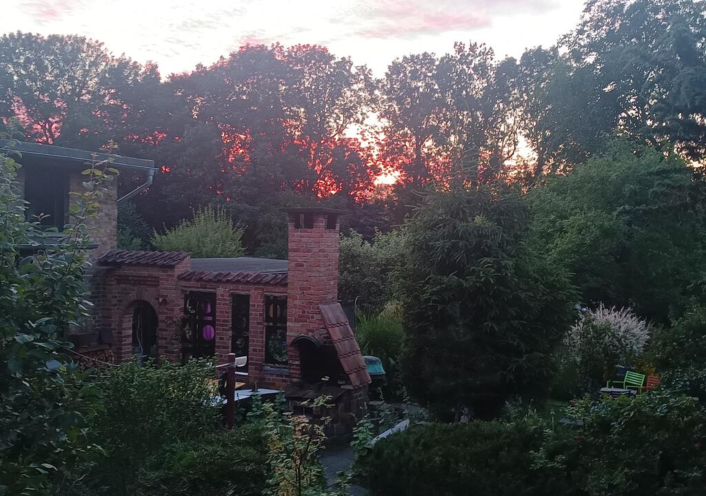 Eco Program in Germany: Come to help us at Stines garden in Strals...