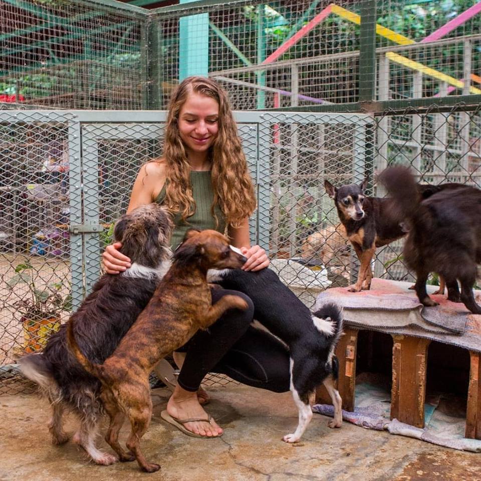 animal refuge center near me