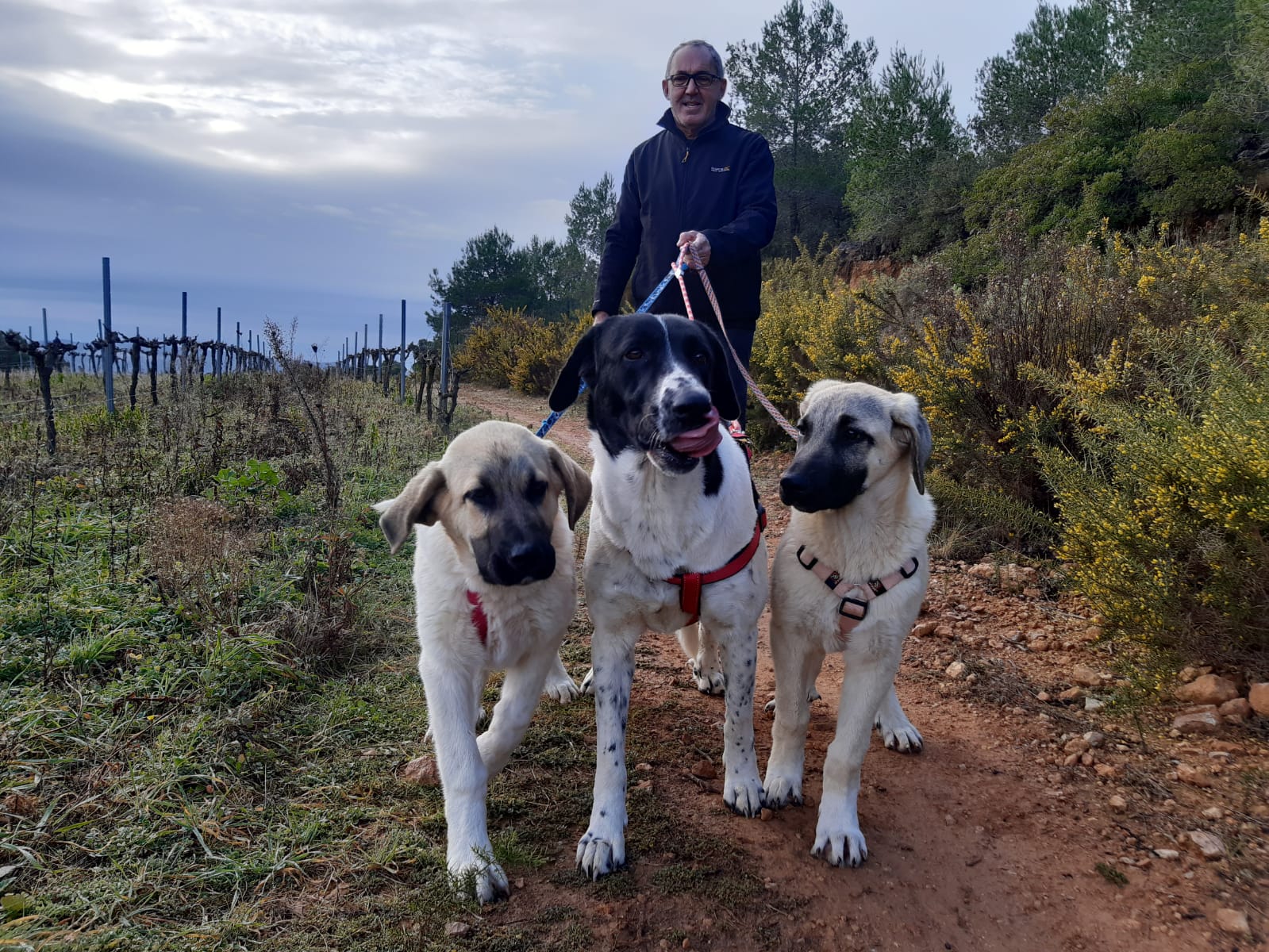 Eco Program in Spain Gestor de redes sociales / Social Media.