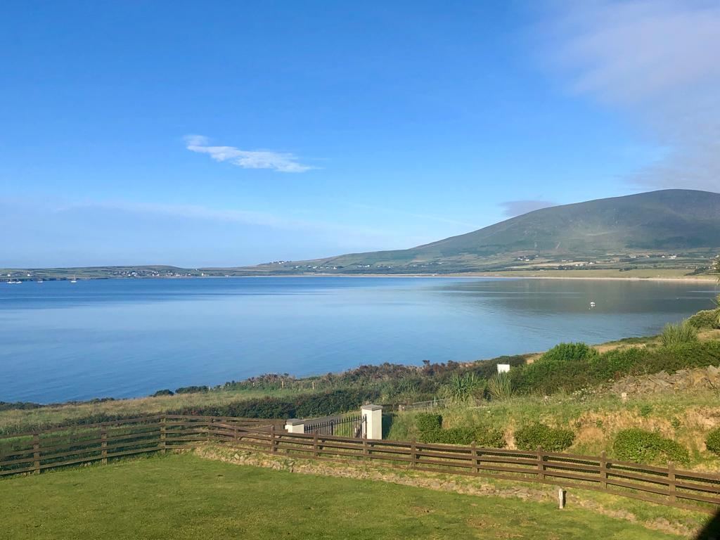 work-exchange-in-ireland-dog-sitting-in-ventry-dingle