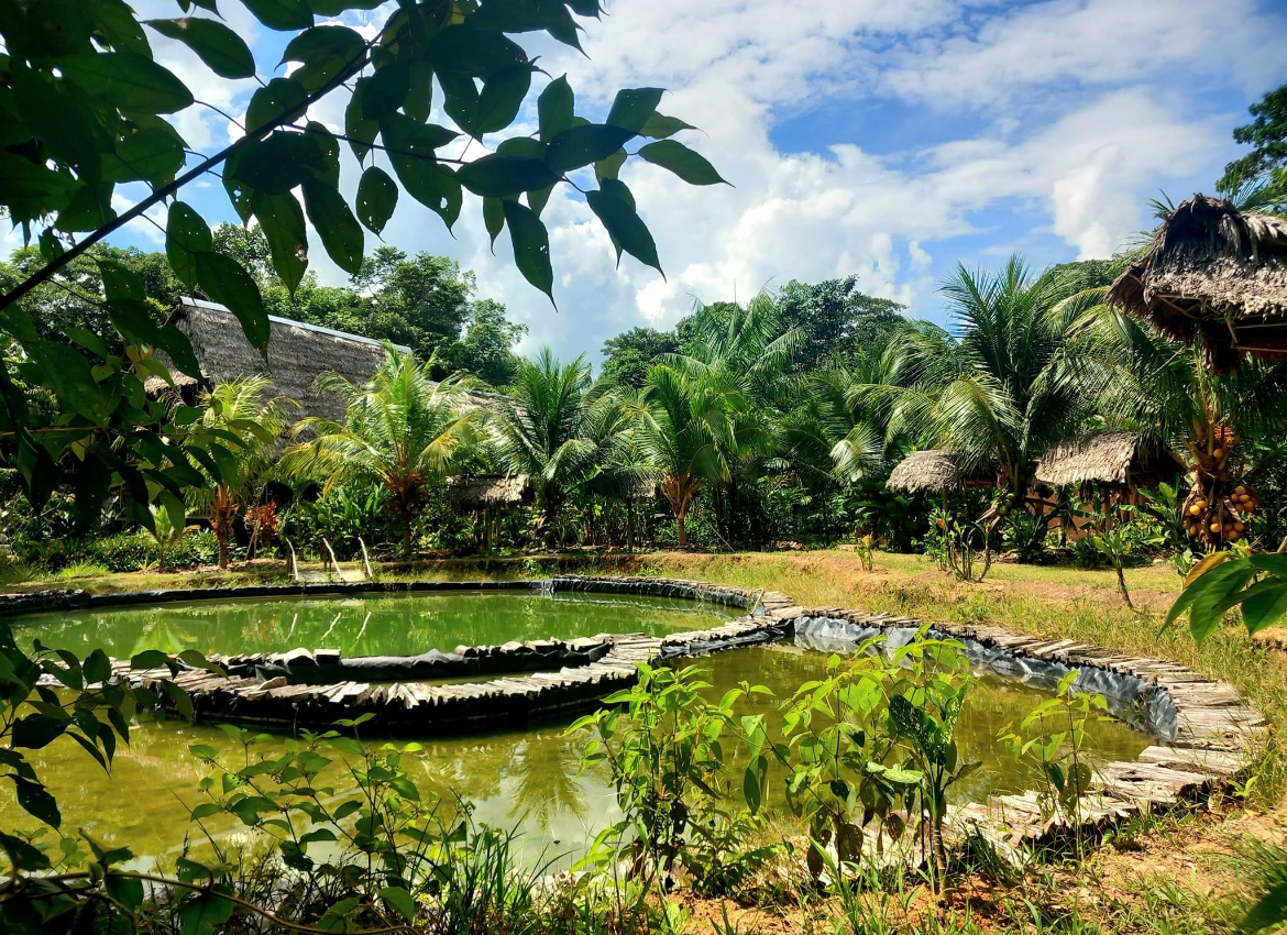Eco Program in Peru: Our Community project in the Amazon Jungle