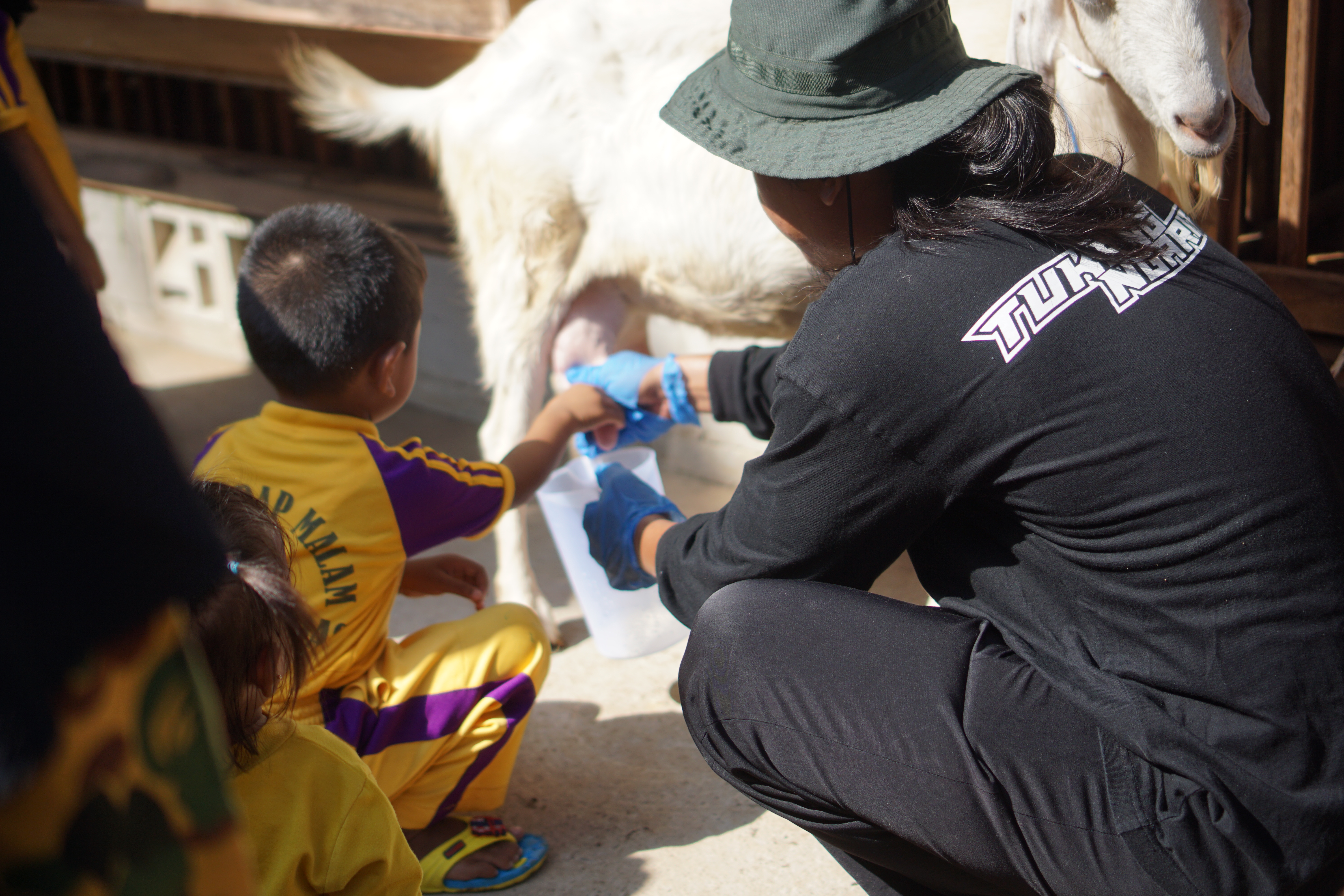 Eco Program in Indonesia: 🐐Goat Life Experience at Sragen: Hands-O...