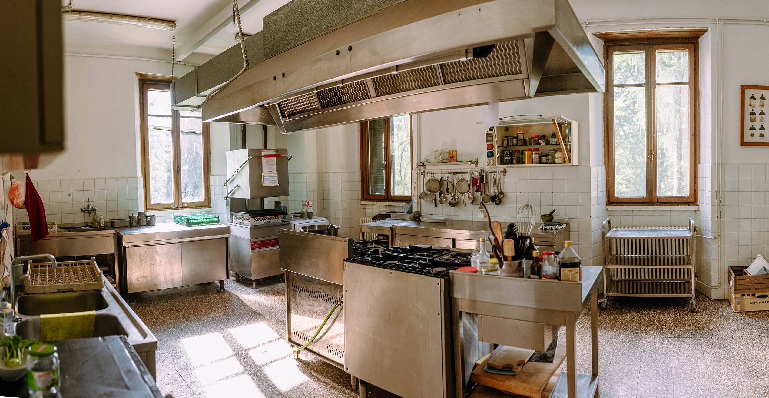 Eco Program in Italy: Vegan Kitchen Focalizer needed in the Italia...