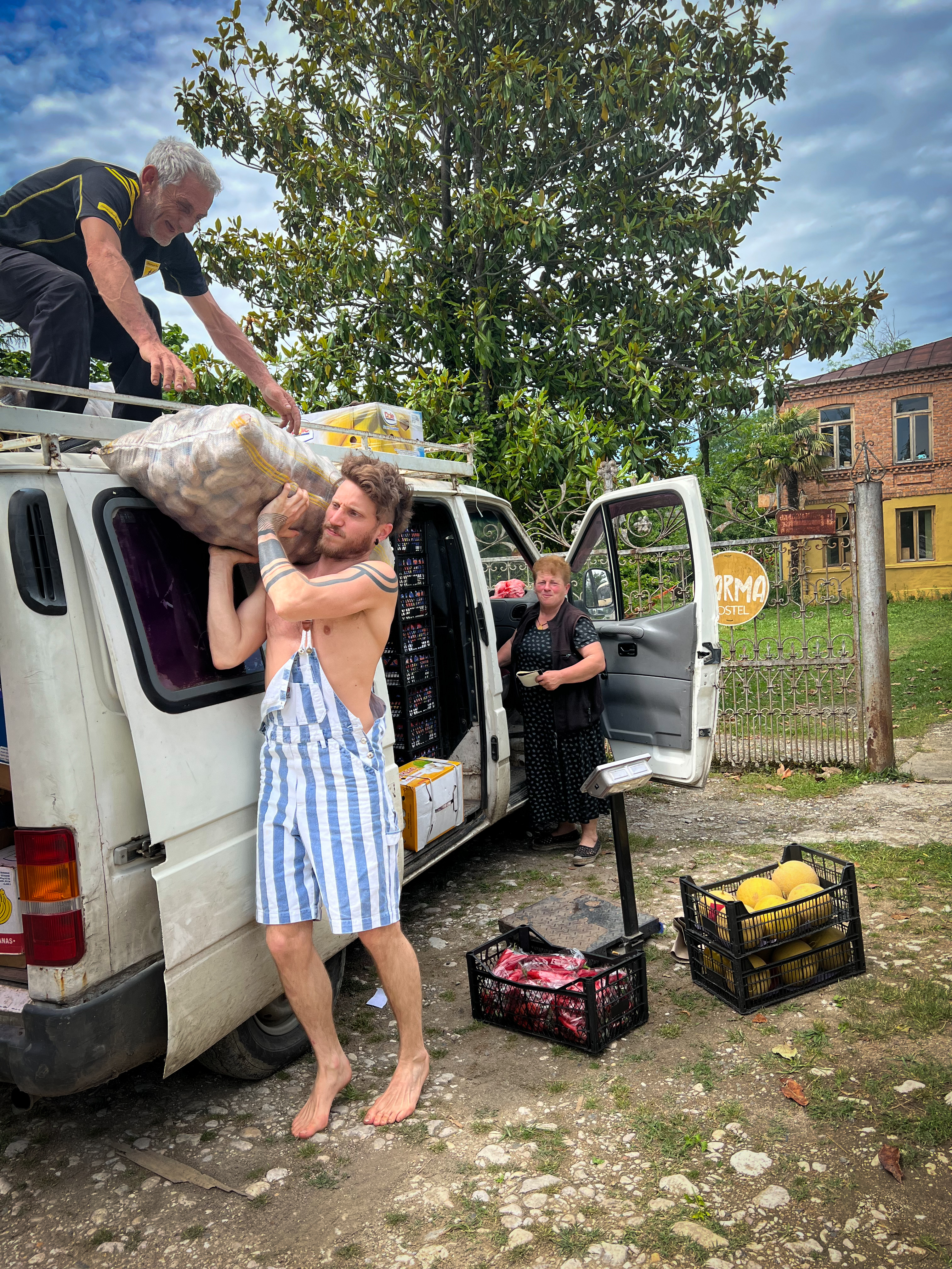 Work exchange in Georgia: Practical Volunteers Needed: Building
