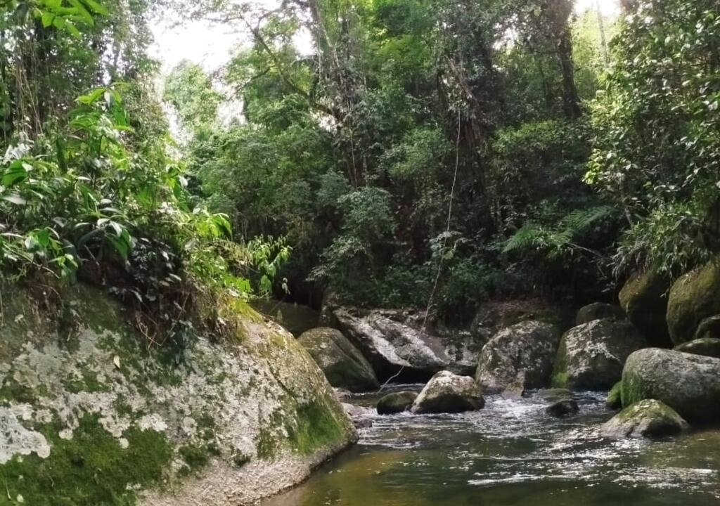 Eco Program in Brazil: 🌿🌊 Experiência Off-Grid na Floresta – Parat...