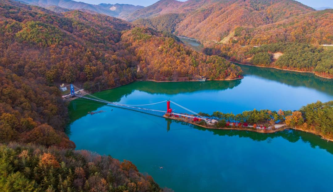 Eco Program in South Korea: Welcome to chestnut farm in Cheongyang...