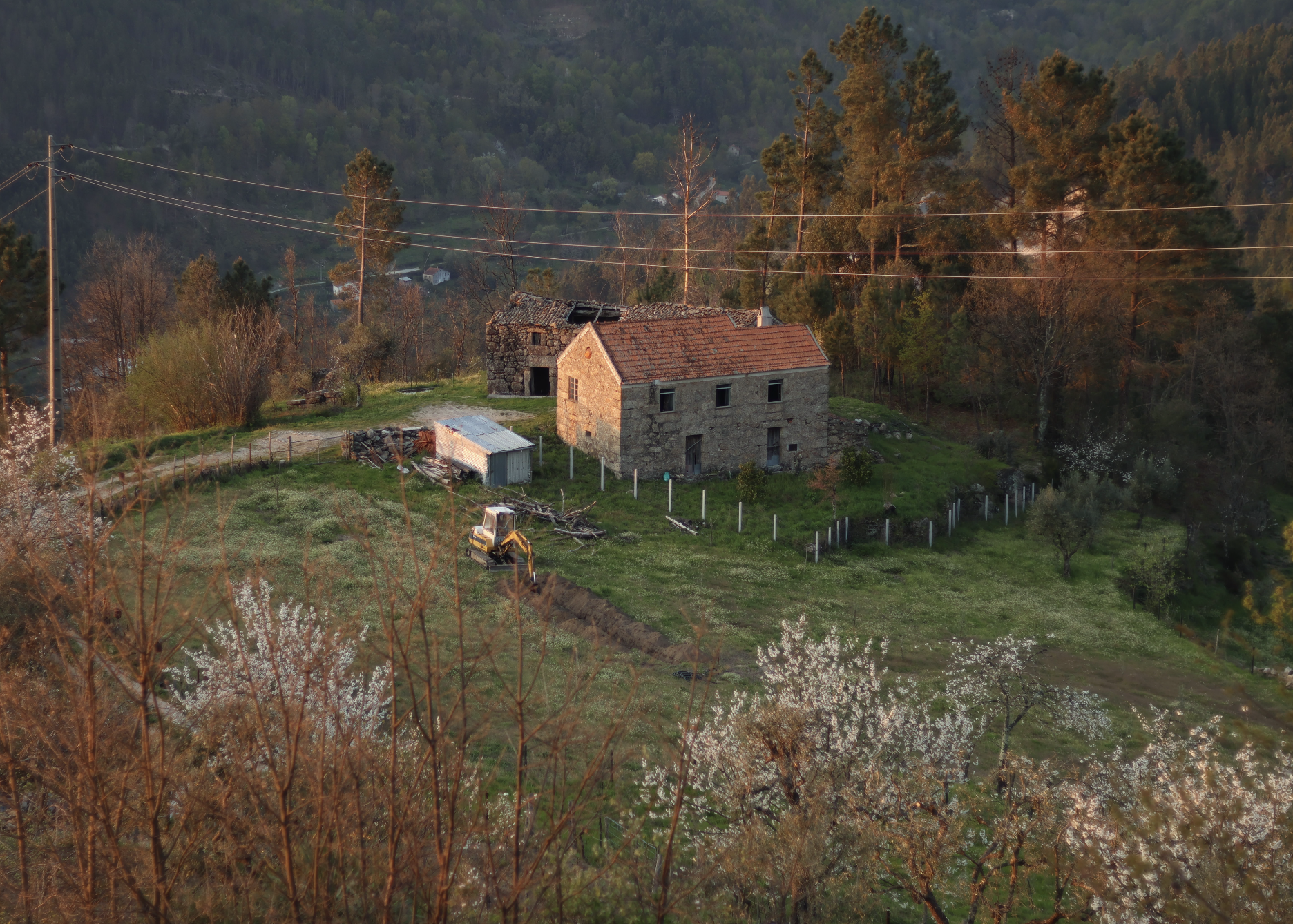 Eco Program in Portugal: Live in rustic mountain house and water t
